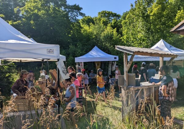 Marché public & BBQ festif – avec Louve Saint-Jeu à La Cabane