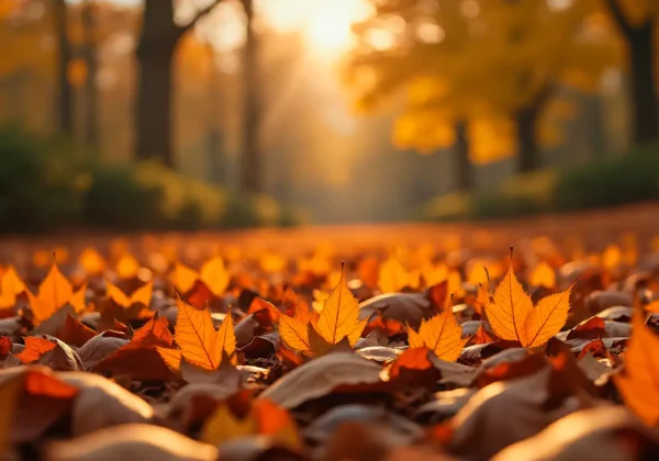 Malgré l’arrivée de l’automne, la chaleur perdure et le danger d’incendie grimpe