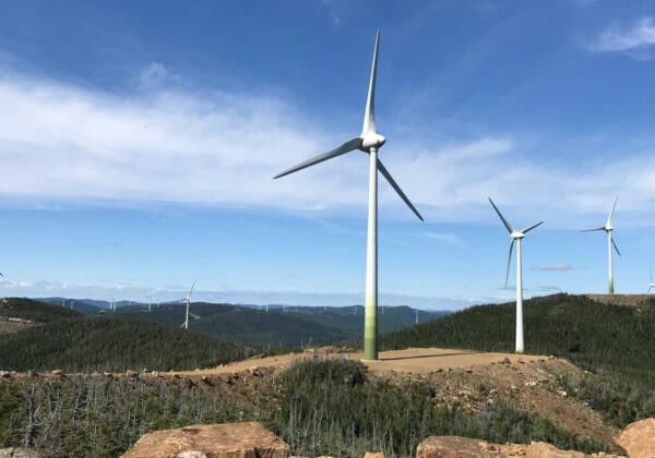 Activité d’information – Projet éolien Des Neiges