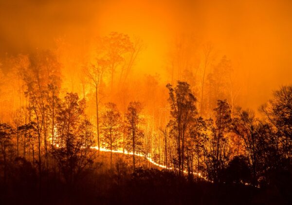 𝗣𝗿𝗲𝗺𝗶𝗲𝗿 𝗳𝗲𝘂 𝗱𝗲 𝗹𝗮 𝘀𝗮𝗶𝘀𝗼𝗻 – 𝗨𝗻 𝘀𝗶𝗴𝗻𝗮𝗹 𝗱’𝗮𝗹𝗲𝗿𝘁𝗲