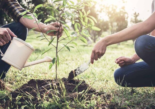 Mise à jour – Programmation du Jour de l&rsquo;arbre 2026