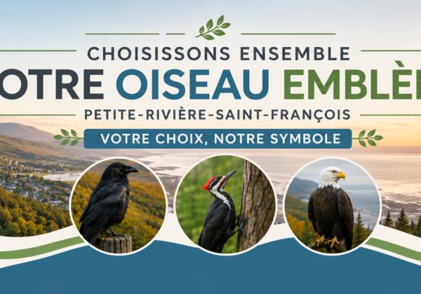 Consultation Citoyenne : Le choix de notre oiseau emblème municipal