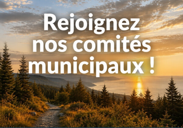 Appel de candidatures – Joignez-vous à nos comités municipaux